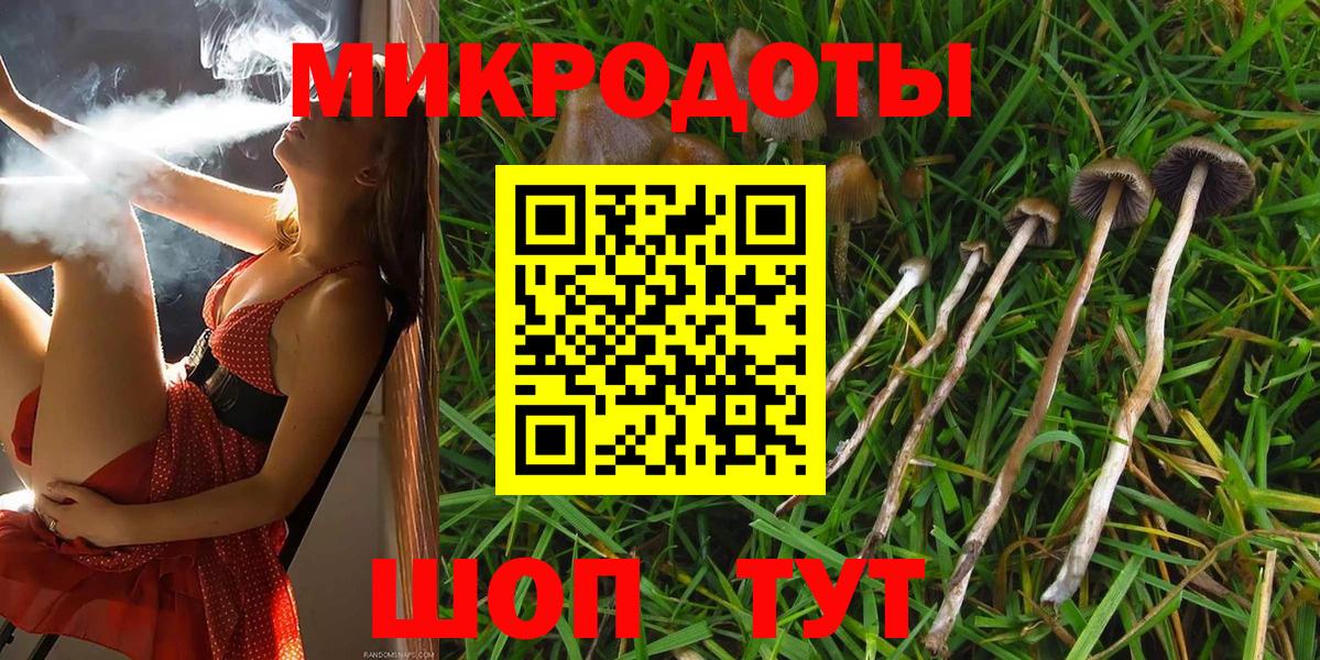 Ленинск-Кузнецкий  Псилоцибиновые грибы ЛСД  Вход с VPN 